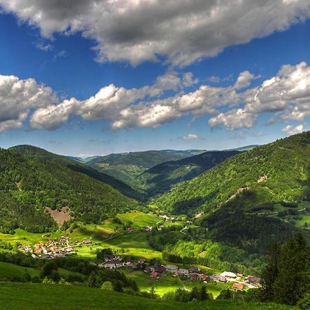 Urlaub Auf 1.000 Meter Hoehe Mit Pool Und Sauna Schönwalde المظهر الخارجي الصورة