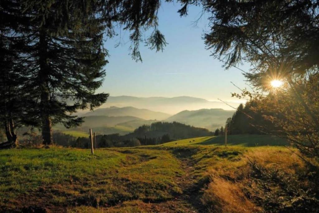 Urlaub Auf 1.000 Meter Hoehe Mit Pool Und Sauna Schönwalde المظهر الخارجي الصورة