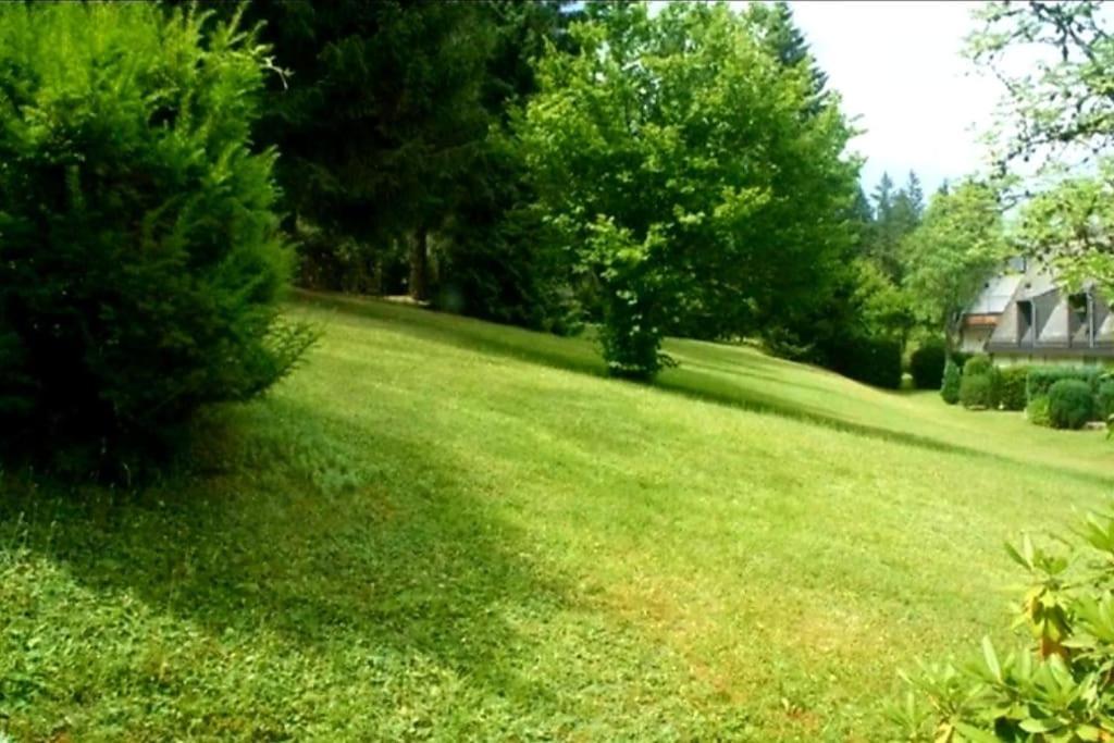Urlaub Auf 1.000 Meter Hoehe Mit Pool Und Sauna Schönwalde المظهر الخارجي الصورة
