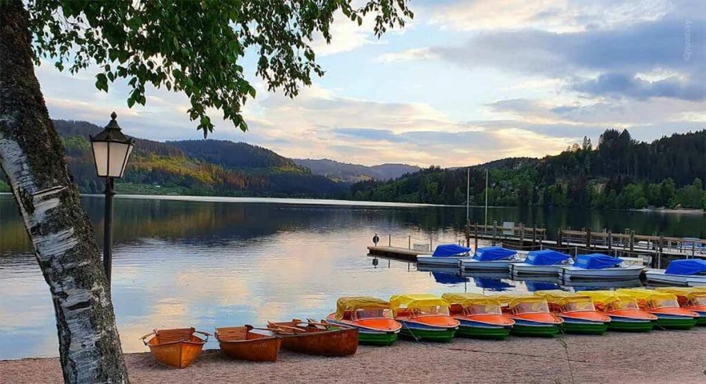 Urlaub Auf 1.000 Meter Hoehe Mit Pool Und Sauna Schönwalde المظهر الخارجي الصورة