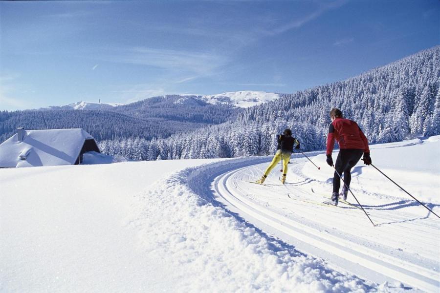 Urlaub Auf 1.000 Meter Hoehe Mit Pool Und Sauna Schönwalde المظهر الخارجي الصورة