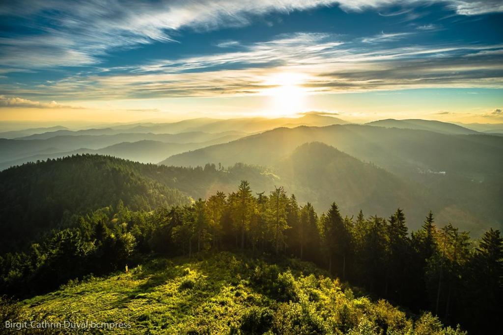 Urlaub Auf 1.000 Meter Hoehe Mit Pool Und Sauna Schönwalde المظهر الخارجي الصورة